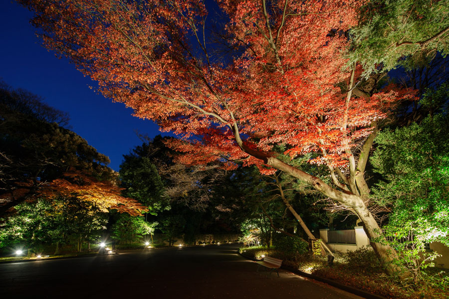 東京都庭園美術館