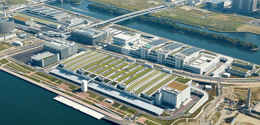 豊洲市場