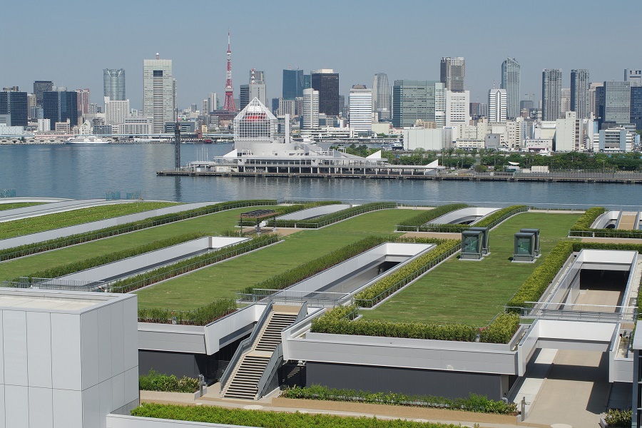 豊洲市場