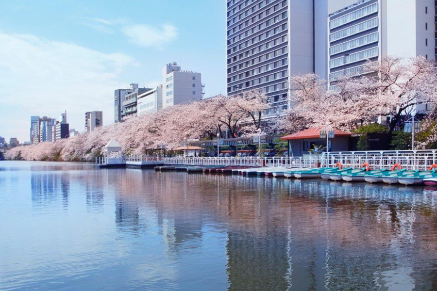 CANAL CAFE