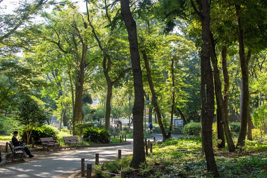 新宿中央公園レポ