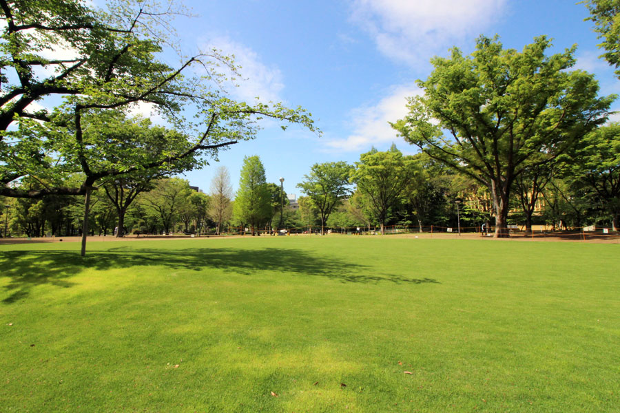 新宿中央公園レポ