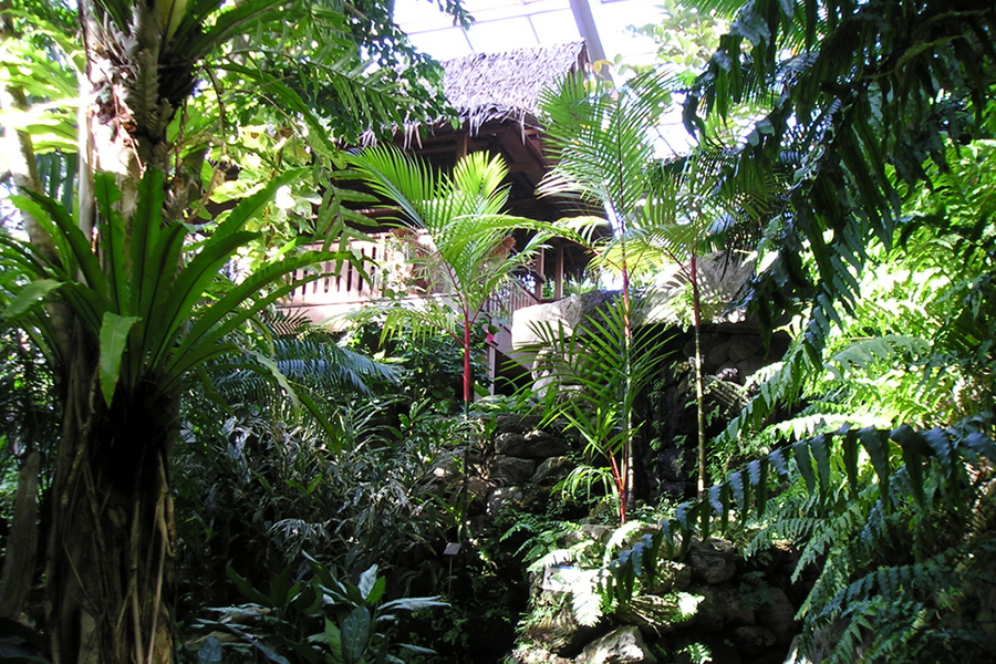 熱帯環境植物館
