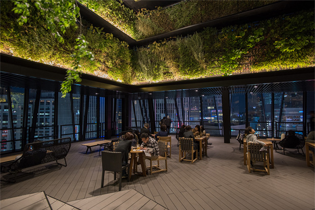 KIRIKO TERRACE