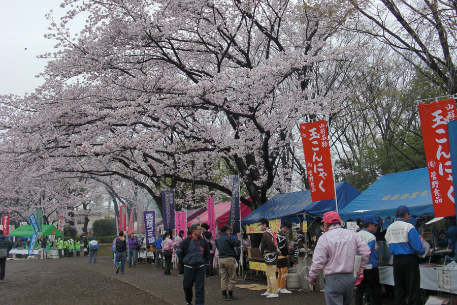 東京 桜イベントtop10 室内アートから桜祭りまで 17年3月16日版 レッツエンジョイ東京