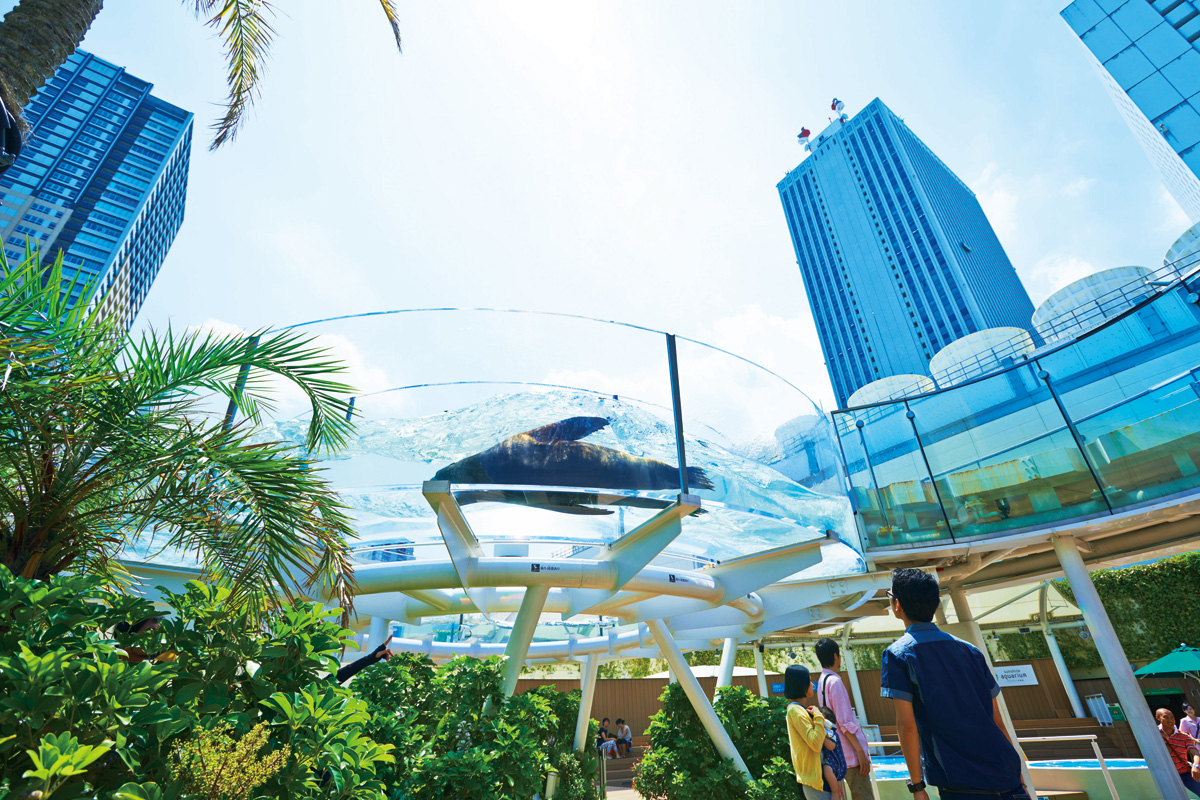 サンシャイン水族館