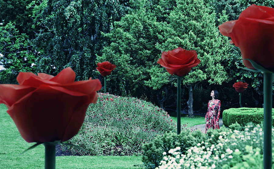 ROSE WEEK 2018