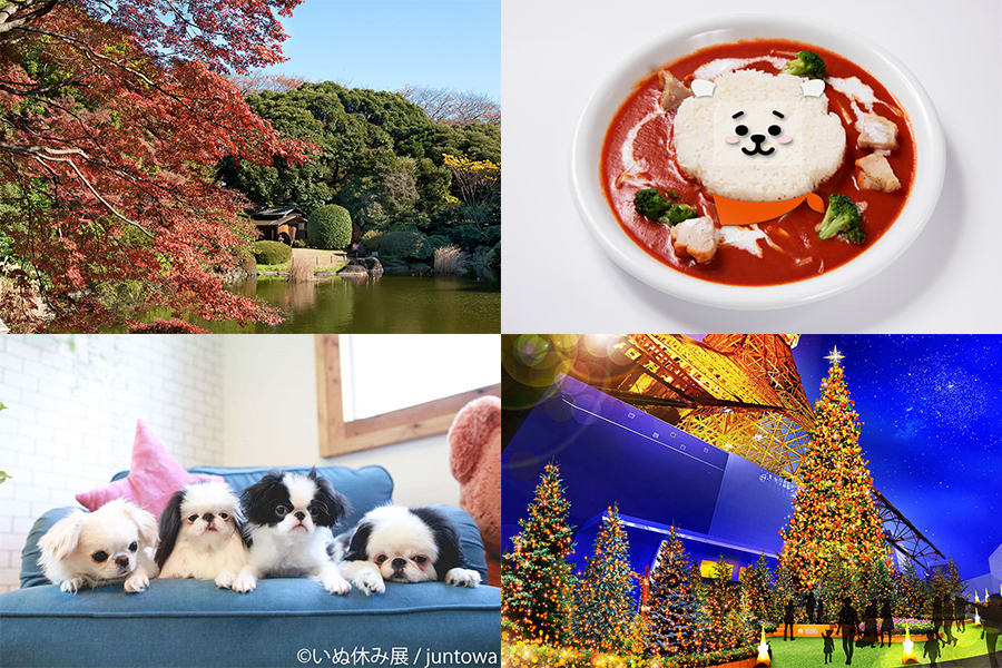 イベントランキング