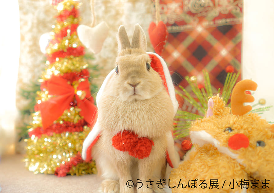 うさぎしんぼる展 in カレッタ汐留