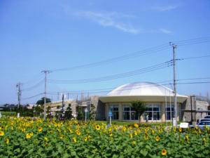 牛島古川公園(第2期)
