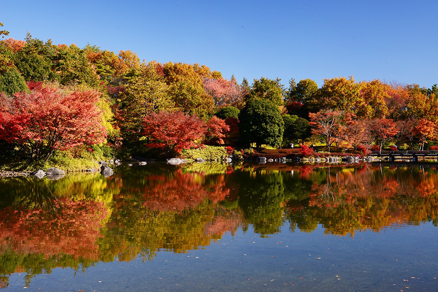 黄葉・紅葉まつり2019