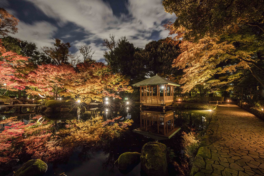 大田黒公園 紅葉ライトアップ
