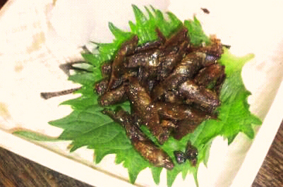 閲覧注意 海のエイリアンにサメも 都内で珍しい魚を食べられる料理店3選 レッツエンジョイ東京