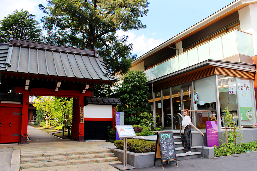 え ここ池袋 緑が絶景なお寺カフェでのランチはリフレッシュに最高だ レッツエンジョイ東京