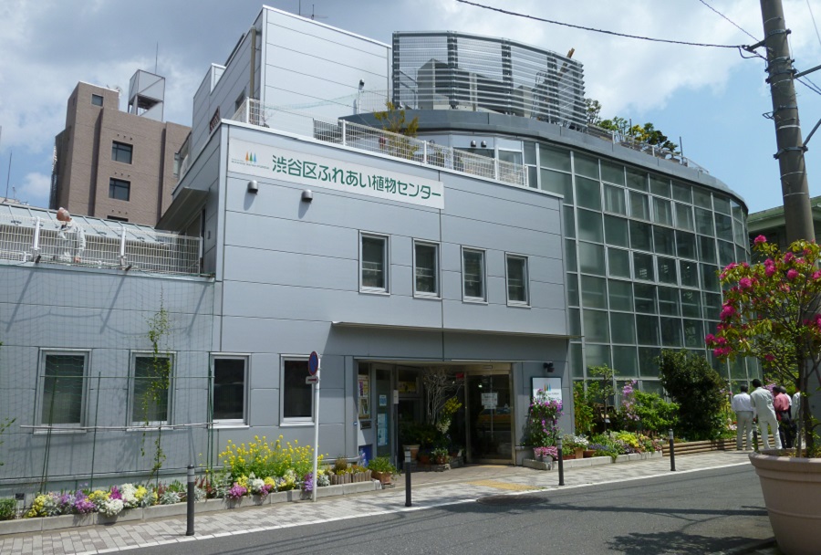 渋谷で暇つぶし スキマ時間にオススメなスポット5選 レッツエンジョイ東京