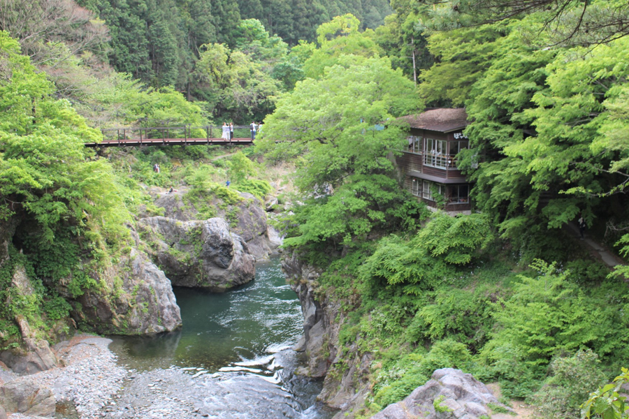 ここは東京 緑あふれる自然の中にある 森のカフェ 3選 レッツエンジョイ東京