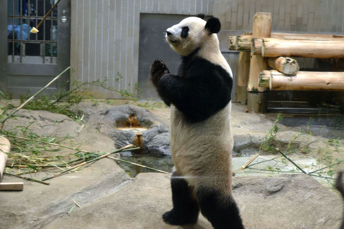 上野動物園に全部いる 通説 世界三大珍獣 とは レッツエンジョイ東京