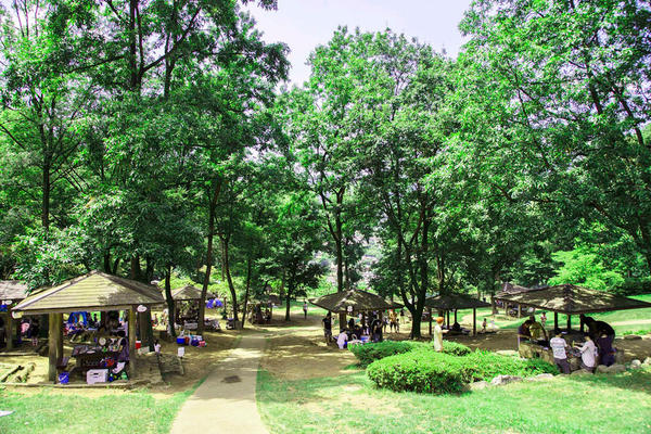 神奈川の手ぶらバーベキュー22 レッツエンジョイ東京