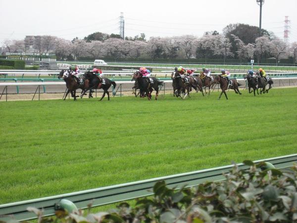 中山競馬場 レッツエンジョイ東京