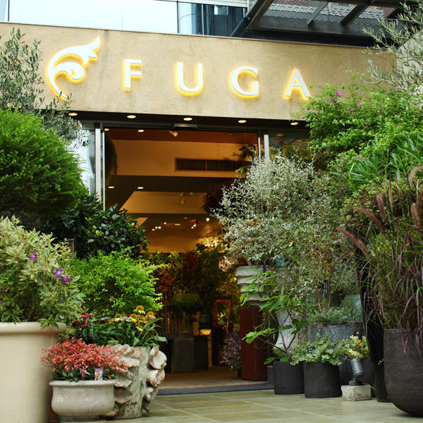 Fuga レッツエンジョイ東京 Fuga レッツエンジョイ東京