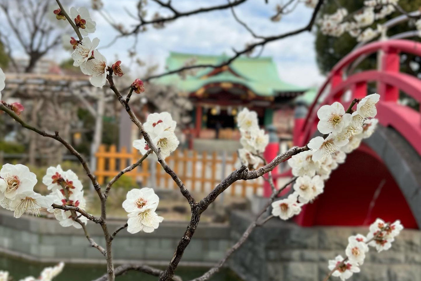 亀戸天神社 レッツエンジョイ東京