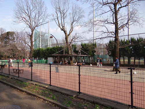 駒沢オリンピック公園総合運動場 ドッグラン レッツエンジョイ東京