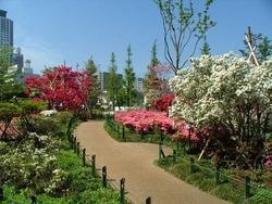 平成つつじ公園 レッツエンジョイ東京 平成つつじ公園 レッツエンジョイ東京