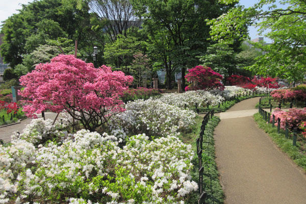 平成つつじ公園 レッツエンジョイ東京 平成つつじ公園 レッツエンジョイ東京