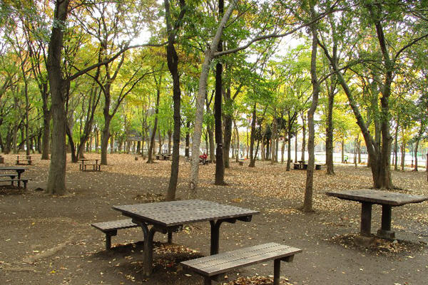 光が丘公園 キャンプ場 バーベキュー場 レッツエンジョイ東京