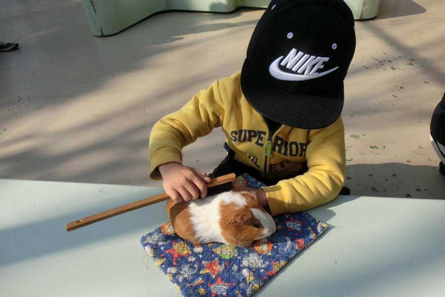 万騎が原ちびっこ動物園 レッツエンジョイ東京 万騎が原ちびっこ動物園 レッツエンジョイ東京