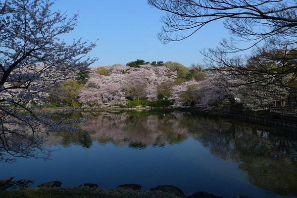県立三ツ池公園のイベント アクセス レッツエンジョイ東京