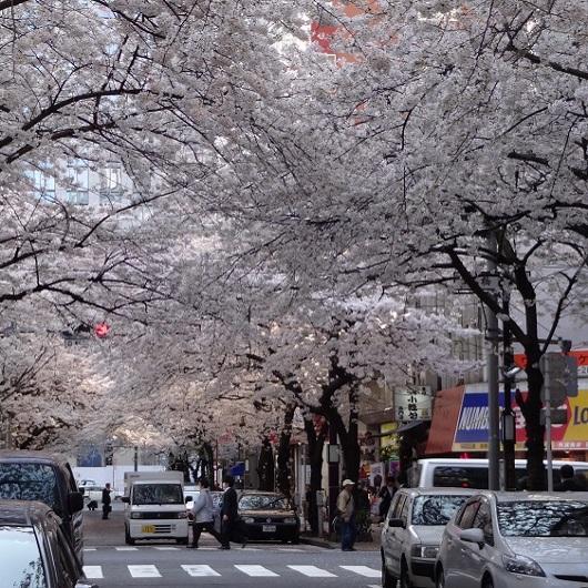 東京駅周辺 買い物 ショッピングのおすすめ レッツエンジョイ東京