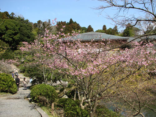 成田山公園 レッツエンジョイ東京