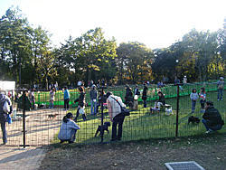 蘆花恒春園ドッグラン レッツエンジョイ東京