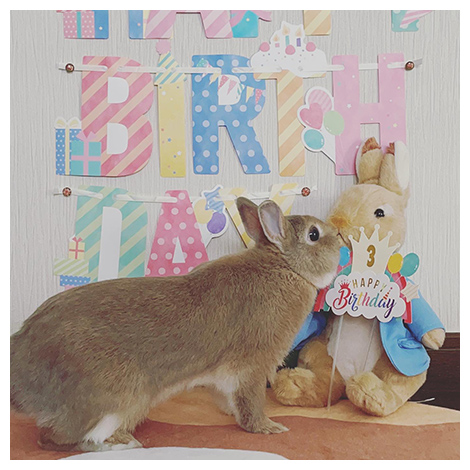 投稿者usaginochibasanさん写真
