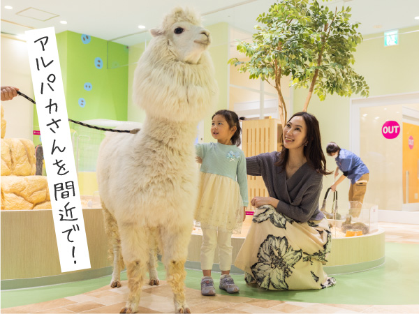 ラブリー・アニモア