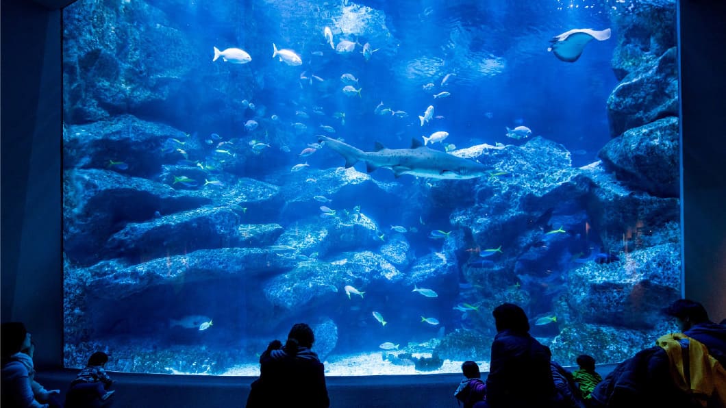 すみだ水族館
