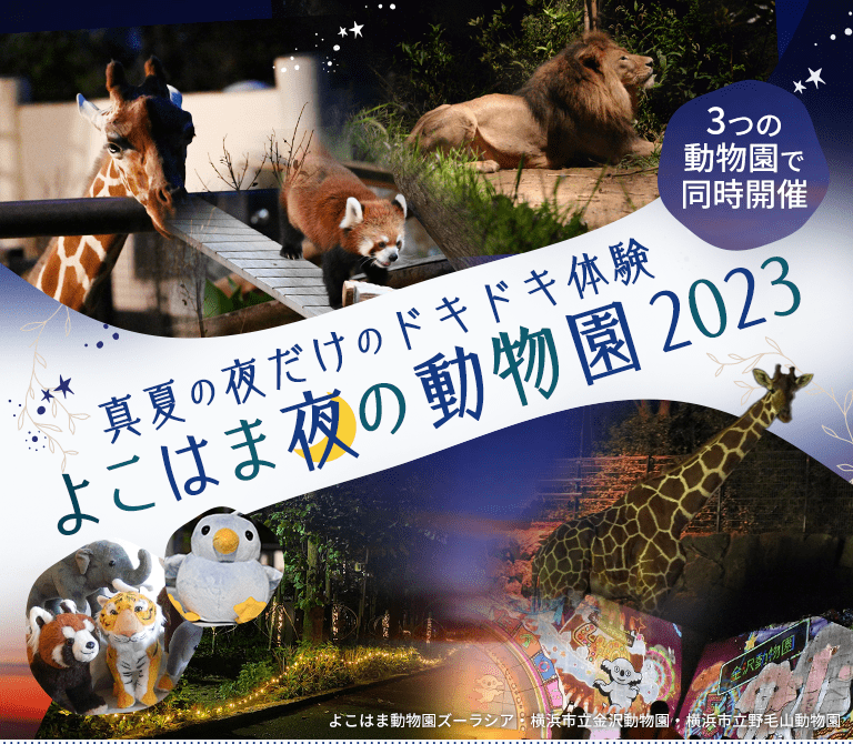 3つの動物園で同時開催 真夏の夜だけのドキドキ体験 よこはま夜の動物園2023 | レッツエンジョイ東京