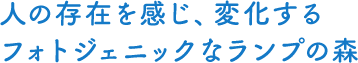 人の存在を感じ、変化するフォトジェニックなランプの森
