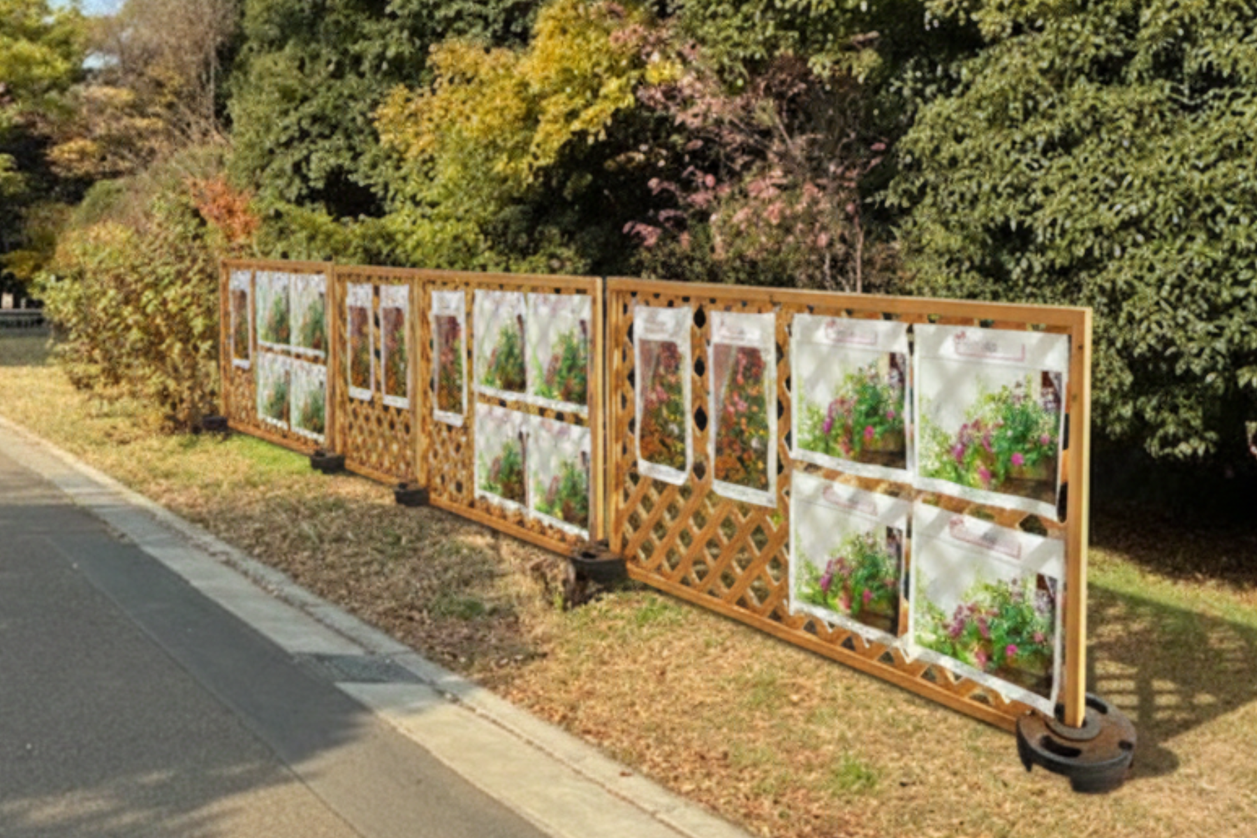 花壇フォトギャラリー＆フォトスポット