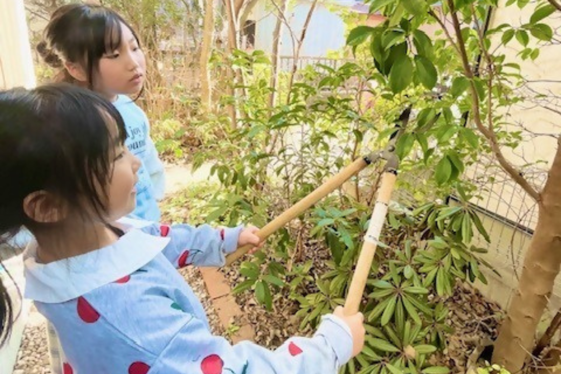 植木屋さんなりきり体験