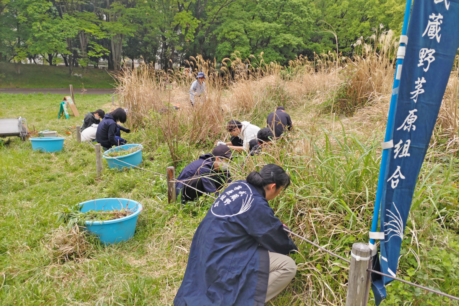 すすき原っぱとバードサンクチュアリの自然