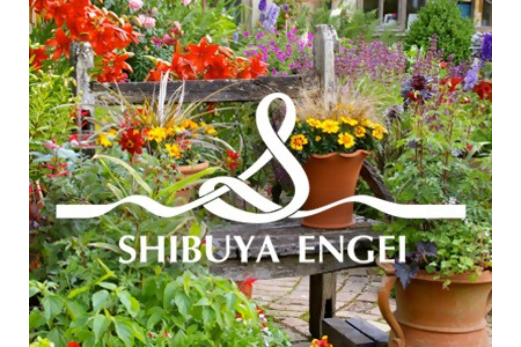 季節の花苗、ハーブ苗販売/ハーブのワークショップ