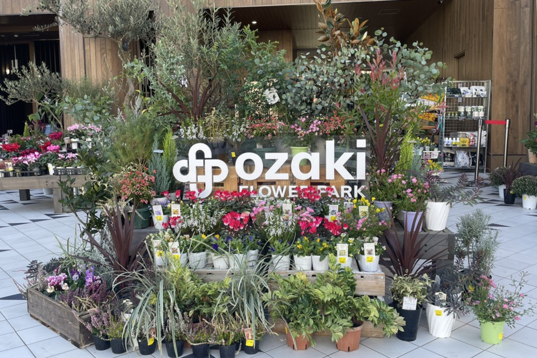 苗木販売＆植物お育て相談