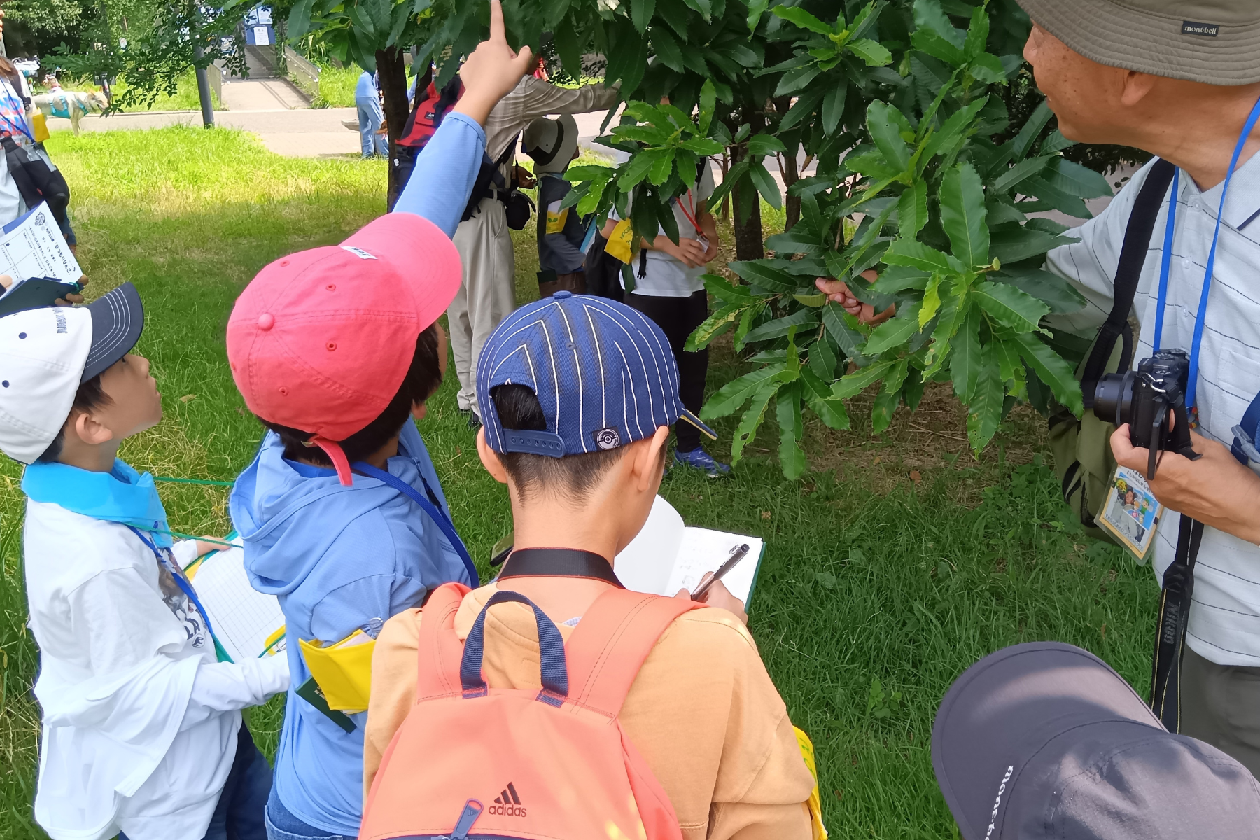 光が丘公園生き物調査体験会