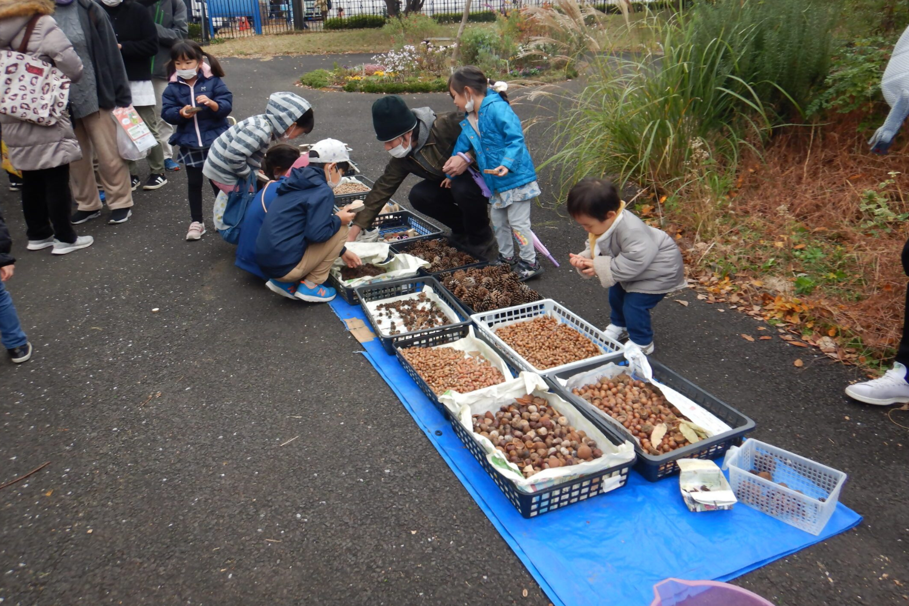 体験！木やツタを使ってむかし遊び