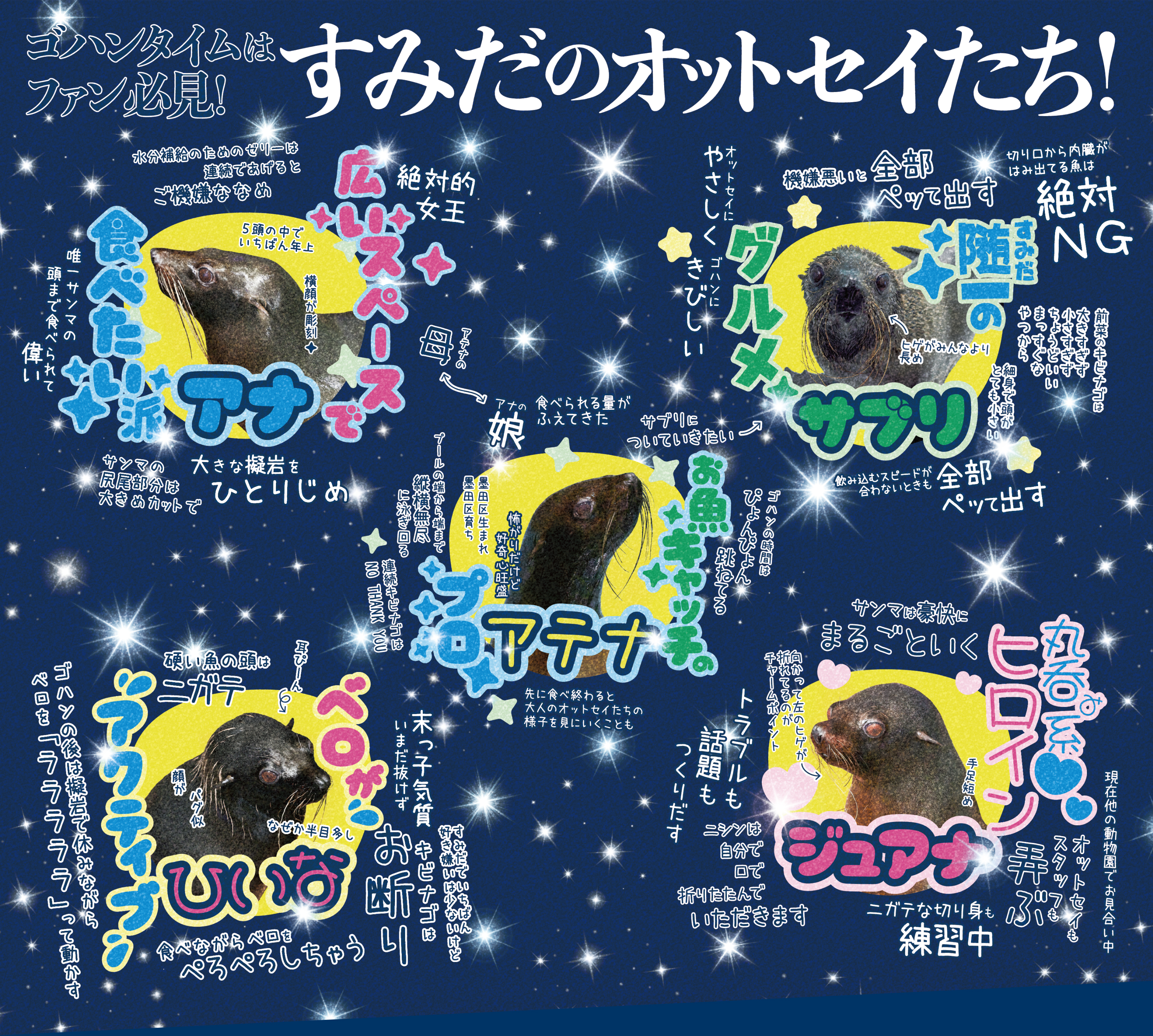 オットセイ達
