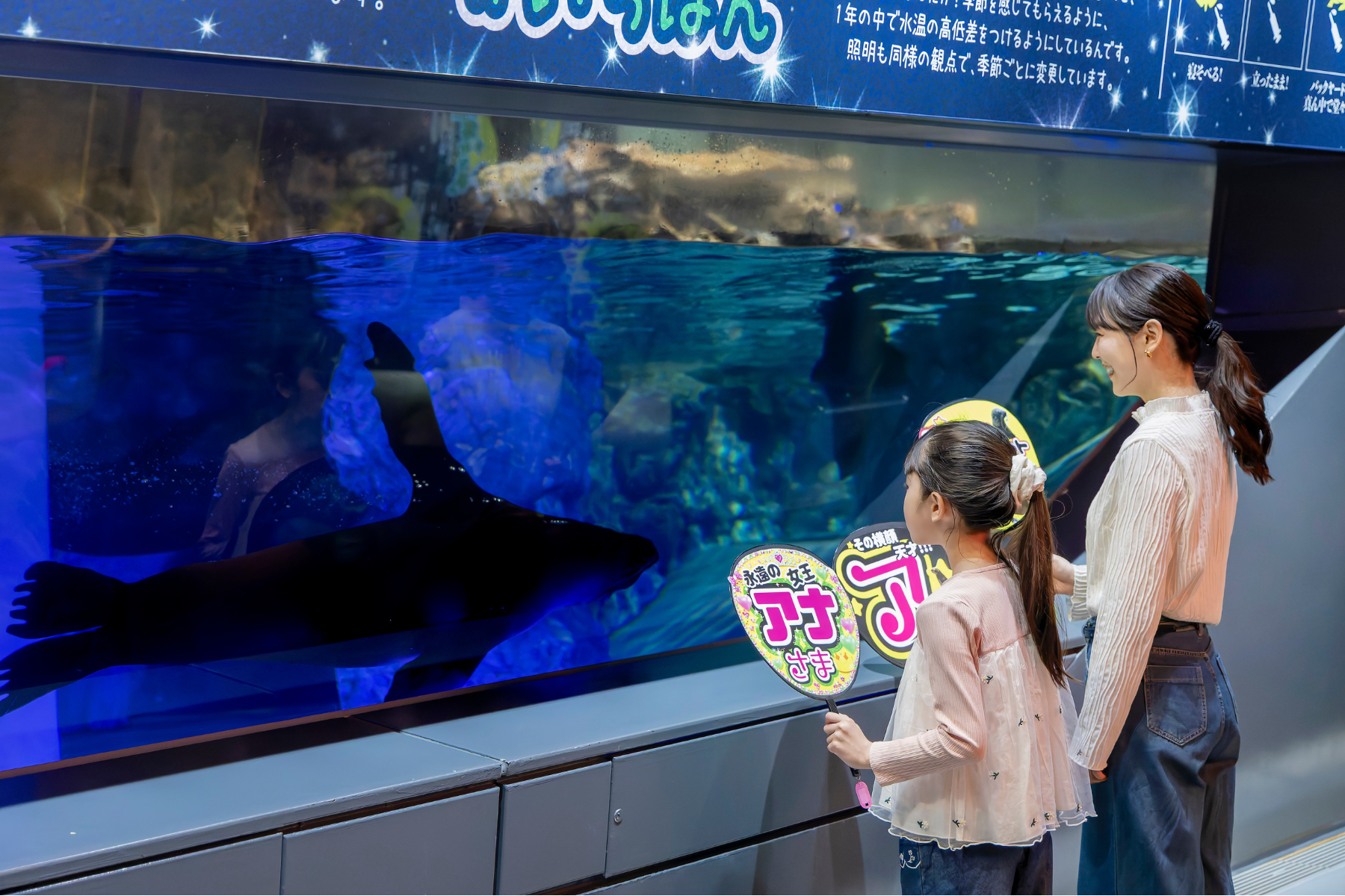 オットセイ水槽