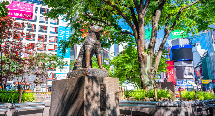 銀座・半蔵門・副都心線 渋谷駅渋谷ハチ公前付近