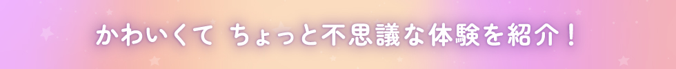 かわいくてちょっと不思議な体験を紹介！